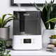 Image for article titled The Best Humidifiers You Can Buy Online, Because ‘Tis the Season for Really Needing One